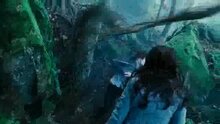Twilight - trailer