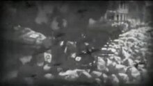 Первый отряд - трейлер 2