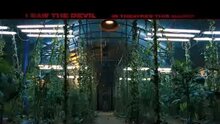 I Saw the Devil - тв ролик