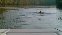 Shark Night 3D - fragment 2