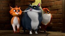 Cats in the Museum - teaser-trailer