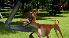 Marmaduke - final trailer