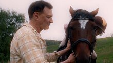 Мой любимый чемпион - финальный трейлер