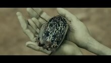 Paul - fragment 6