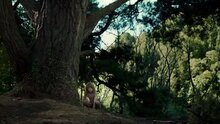 Пит и его дракон - дублированный трейлер