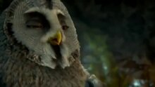 Legend of the Guardians: The Owls of Ga'Hoole - fragment 7