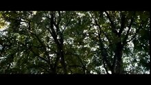 Rise of the Planet of the Apes - тв ролик 1
