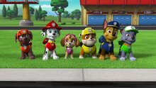Paw Patrol 9 - trailer