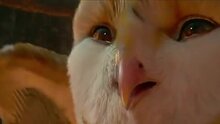 Legend of the Guardians: The Owls of Ga'Hoole - тв ролик 1