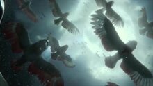 Legend of the Guardians: The Owls of Ga'Hoole - russian teaser-trailer