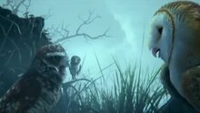 Legend of the Guardians: The Owls of Ga'Hoole - fragment 6