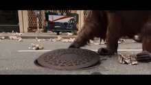 Rise of the Planet of the Apes - fragment 5