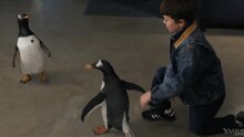 Mr. Popper's Penguins - fragment 2
