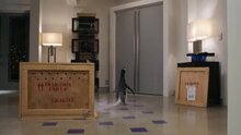 Mr. Popper's Penguins - fragment 5