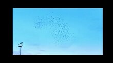 Бьютифул - дублированный трейлер