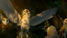 Legend of the Guardians: The Owls of Ga'Hoole - fragment 5