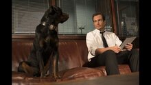 Псы под прикрытием - дублированный трейлер