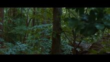 The Hunger Games - russian teaser
