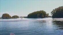 Shark Night 3D - fragment 1