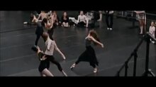 Black Swan - fragment 6