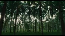 Eat Pray Love - музыкальный клип eddie vedder