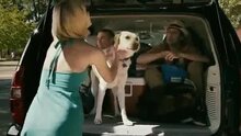 Shark Night 3D - trailer