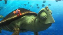Finding Dory - trailer 2