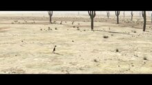Ранго - дублированный трейлер