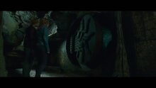Гарри Поттер и Дары смерти. Часть вторая - отрывок 2