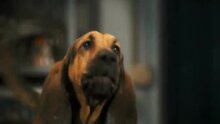 Кошки против собак: Месть Китти Галор - трейлер