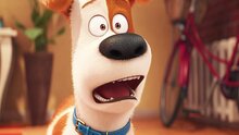 Тайная жизнь домашних животных 2 - дублированный трейлер