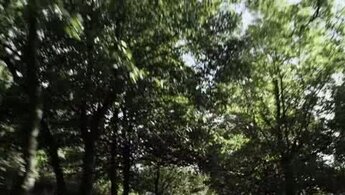 Kill List - trailer
