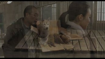 Seven Days of Himawari and Her Puppies - trailer