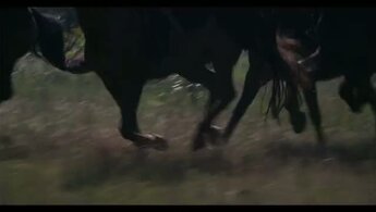В изгнании - промо-трейлер