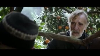 Tangerines - trailer