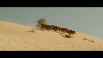 Тимбукту - трейлер