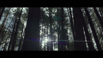 The Daughter - trailer