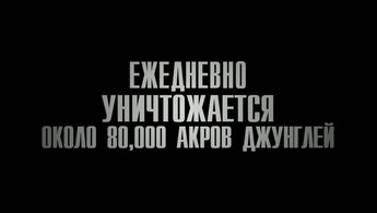Зеленый ад - трейлер с закадровым переводом