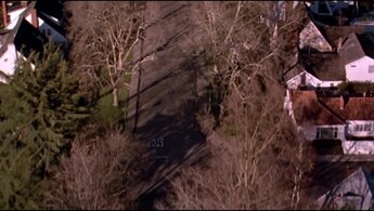 American Beauty - trailer с закадровым переводом