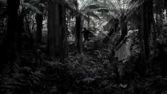 Van Diemen's Land - trailer