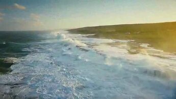 Wild Ocean - trailer