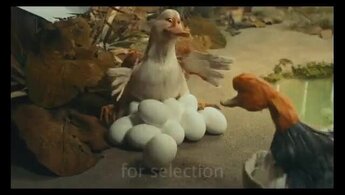 Gadkiy utyonok - trailer