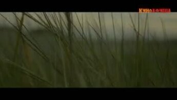 Bliss! - trailer