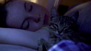 A Cat's Life - trailer in russian