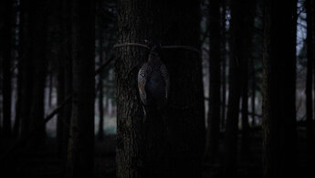 Bambi: The Reckoning - teaser