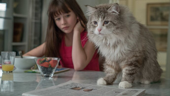 Nine Lives - trailer in russian