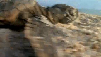 Большое путешествие вглубь океанов 3D: Возвращение - дублированный трейлер