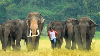 Junglee - trailer