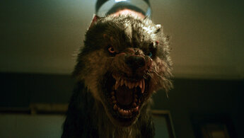Viking Wolf - trailer