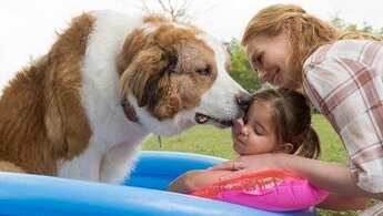 A Dog's Journey - trailer in russian
